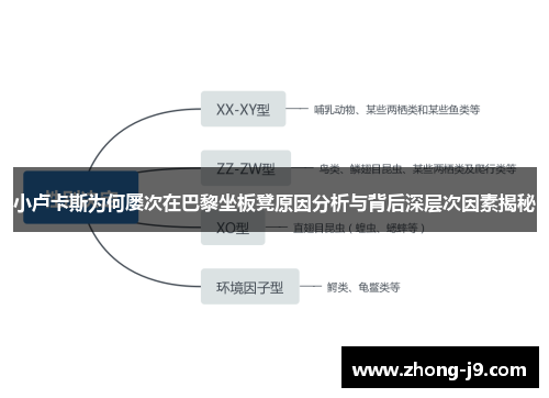 小卢卡斯为何屡次在巴黎坐板凳原因分析与背后深层次因素揭秘