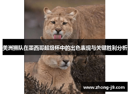 美洲狮队在墨西哥超级杯中的出色表现与关键胜利分析